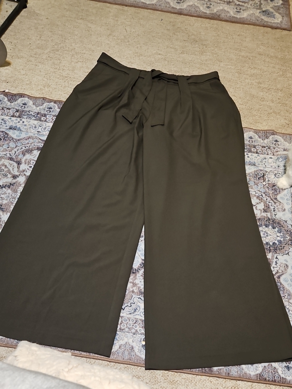 High-Rise Wide Leg Crop Tie Waist Pants in Olive Green